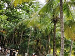 -海南分界洲岛旅游区