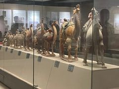 -西安大唐西市博物馆