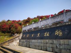 -贵州百里杜鹃风景名胜区