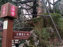 -绮园景区