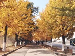 -辽东学院(南校区)