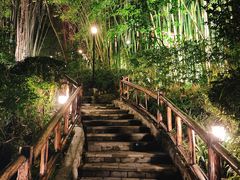 -竹海听涛生态山庄