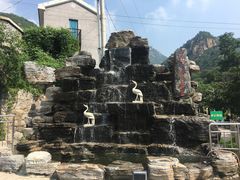 -大岭沟猕猴桃谷风景区