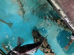 -阿弟特色海鲜餐厅·大排档(平潭店)