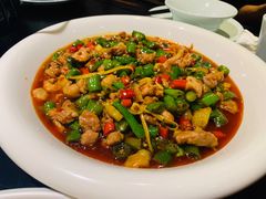 -陈麻婆豆腐总店