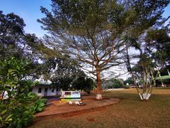 -侯臣咖啡文化村