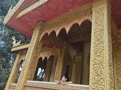 -西双版纳勐泐文化旅游区