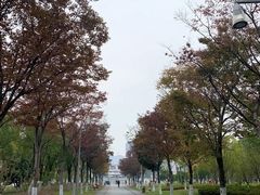 -映月湖中央公园