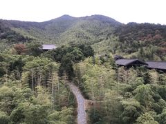 -大唐贡茶院