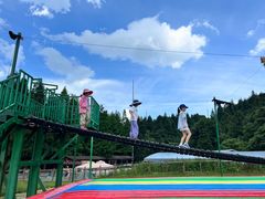-武陵山森林公园
