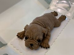 -Dark Horse·黑马蛋糕·低脂·低糖淡奶(金匙望湖大厦店)