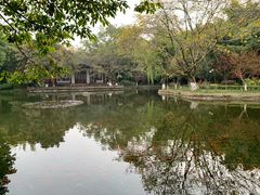 -望江楼公园