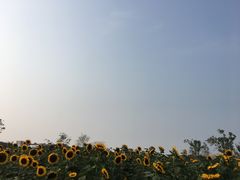 -艾溪湖湿地公园