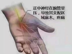 -香薇妮丝女子减肥院