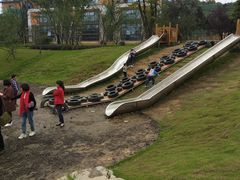 -铁山坪森林公园