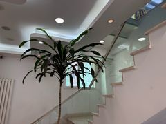 -雅德嘉口腔·咬合重建中心(时雨园店)