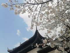 -苏州上方山国家森林公园