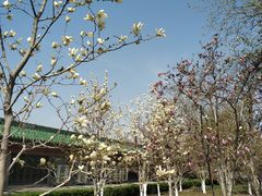 -廊坊固安福朋喜来登酒店