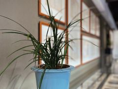 -中国昆曲博物馆