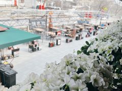-京北渔家傲