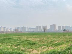 -汉长安城未央宫国家考古遗址公园