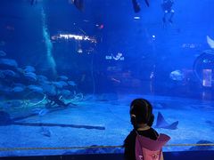 -烟台海昌鲸鲨海洋公园