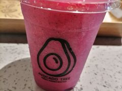 -油梨树AVOCADO TREE(嘉里中心店)
