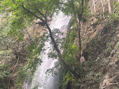 -莫里热带雨林景区