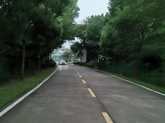 -美的鹭湖森林度假区