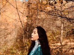 -秦岭风景区
