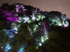 -飞凤山奥体公园