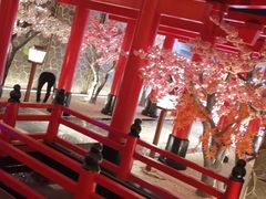 -蓝鲸湾汤泉(包河店)