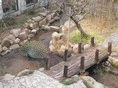 20150124114528-苏州环秀晓筑养生度假村