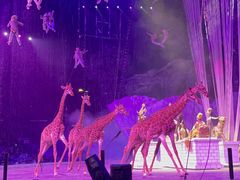 -广州长隆国际大马戏