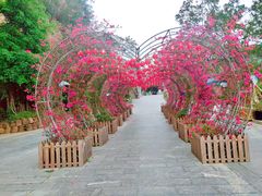 -龙门水都景区