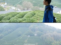 -西湖风景区十里琅珰-五云山
