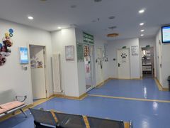 -天使宠物医院·犬猫分诊(彩虹店)