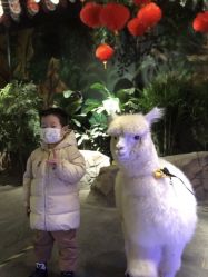 -kidsland(上海环球港店)
