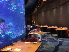 -迪拜帆船酒店海底餐厅