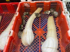 -蚝得喜海鲜(东城店)