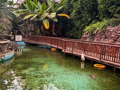 -呀路古热带植物园