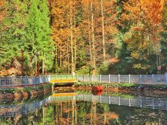 -山王坪喀斯特国家生态公园