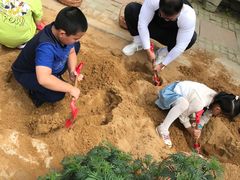 -樂桃源奉贤黄桃种植采摘基地