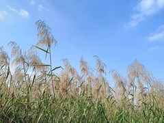 -松山湖风景区松湖烟雨