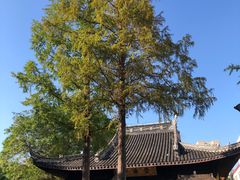 -常州古运河南大街文化旅游区-人民公园