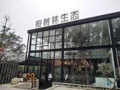 -桉树林A coffee 森林餐厅(三圣乡店)