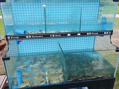 -JW万豪厨房餐厅·滨海草坪烧烤·海鲜·海景(三亚绿发山海天JW万豪酒店)