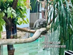 -红山森林动物园