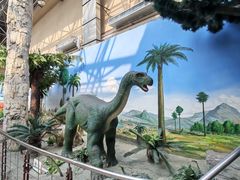 -国家自然博物馆