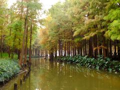 -尚湖风景区